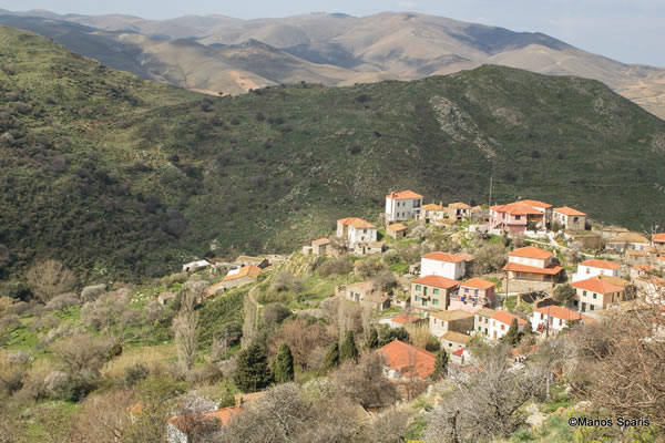 Κατάλακκος